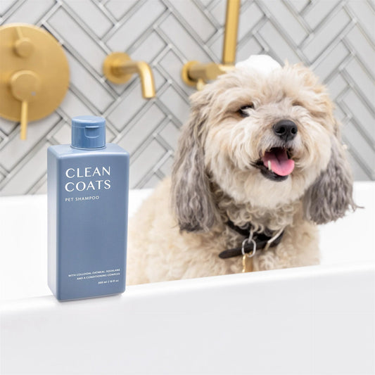 Clean Coats Pet Shampoo – Gentle, Nourishing, Odor-Free